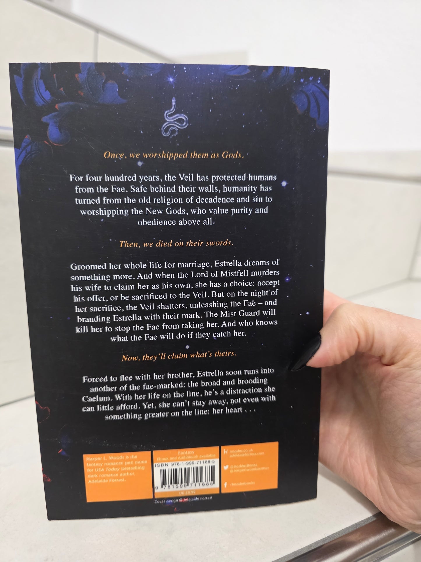 What lies beyond the veil by Harper L. Woods