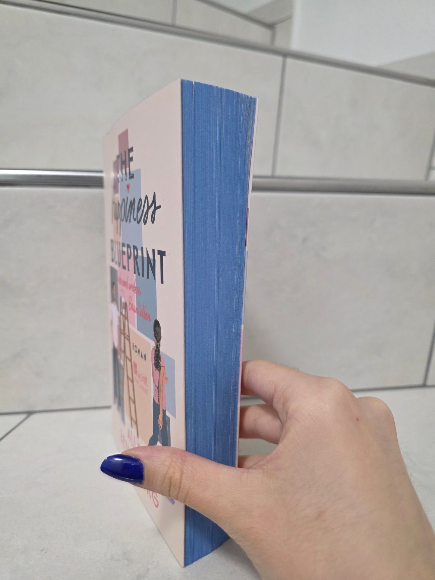 The Happiness Blueprint von Ally Zetterberg