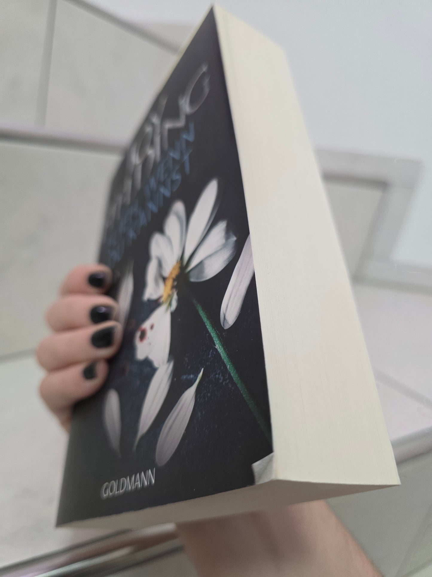 Flieh, wenn du kannst von Joy Fielding