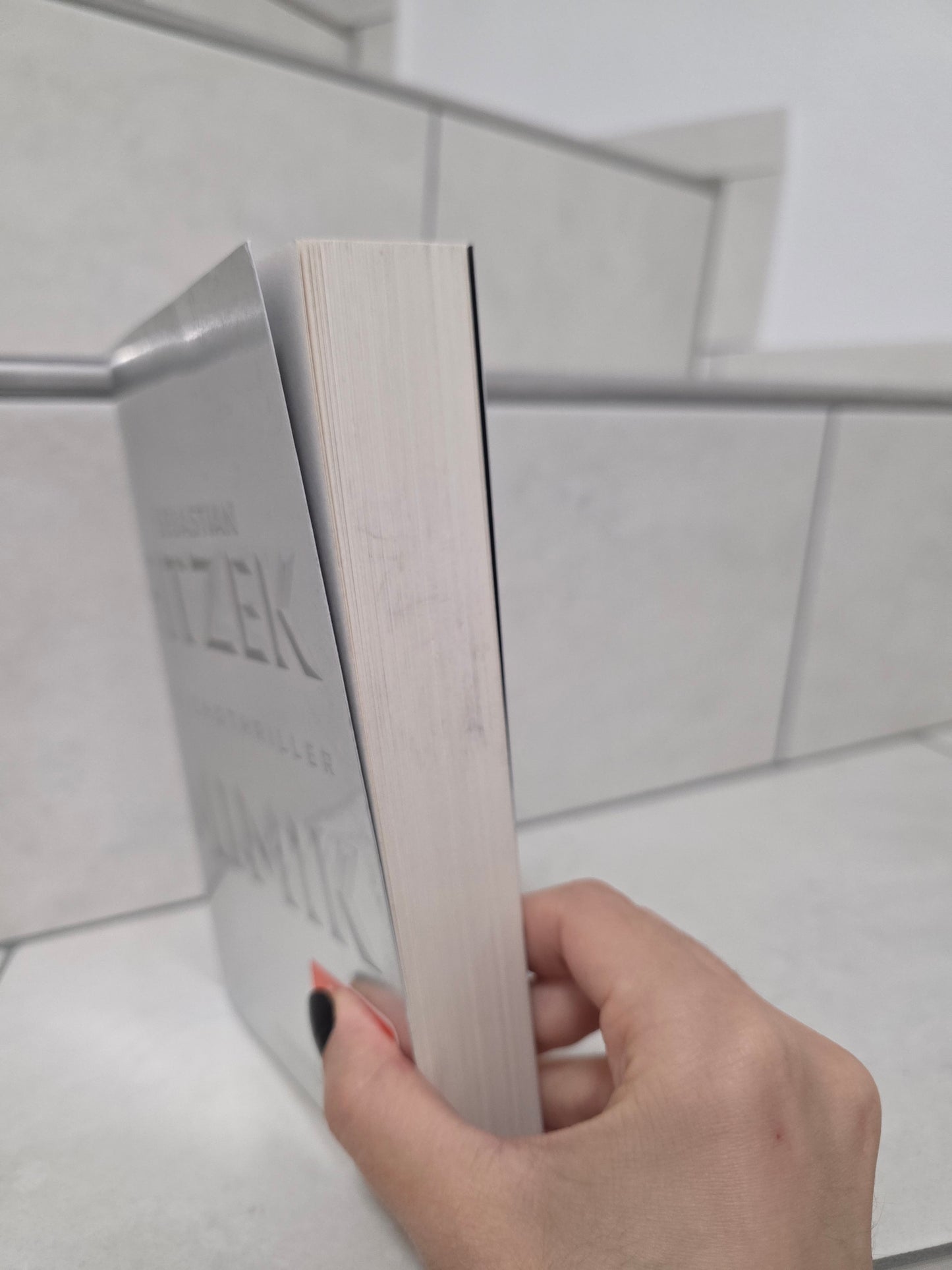 Mimik (TB) von Sebastian Fitzek