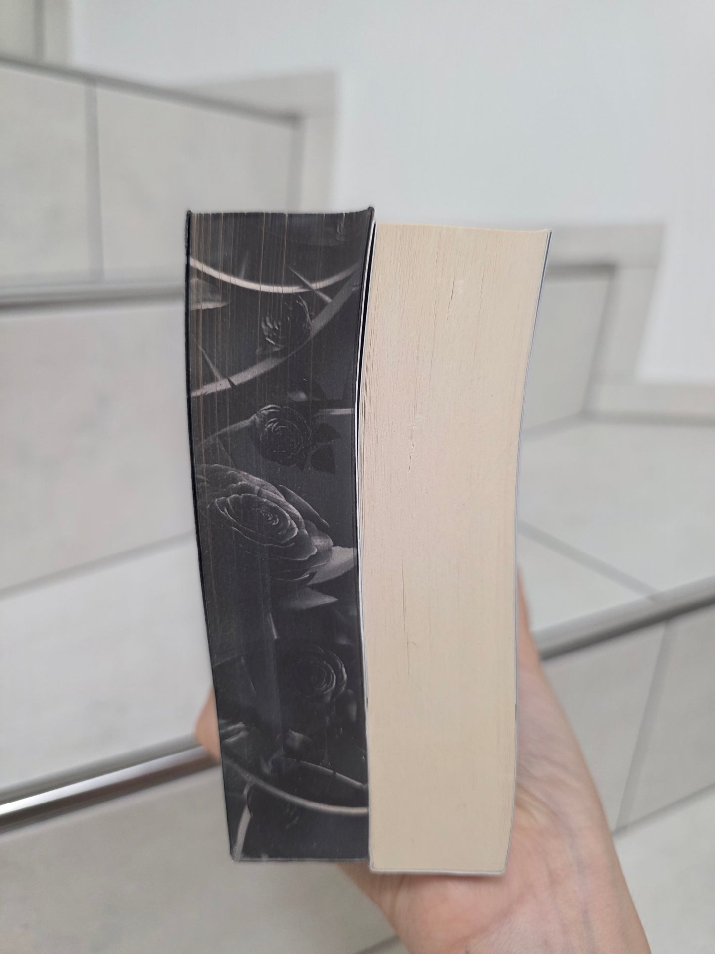 Empire of Sins and Souls 1&2 von Beril Kehribar