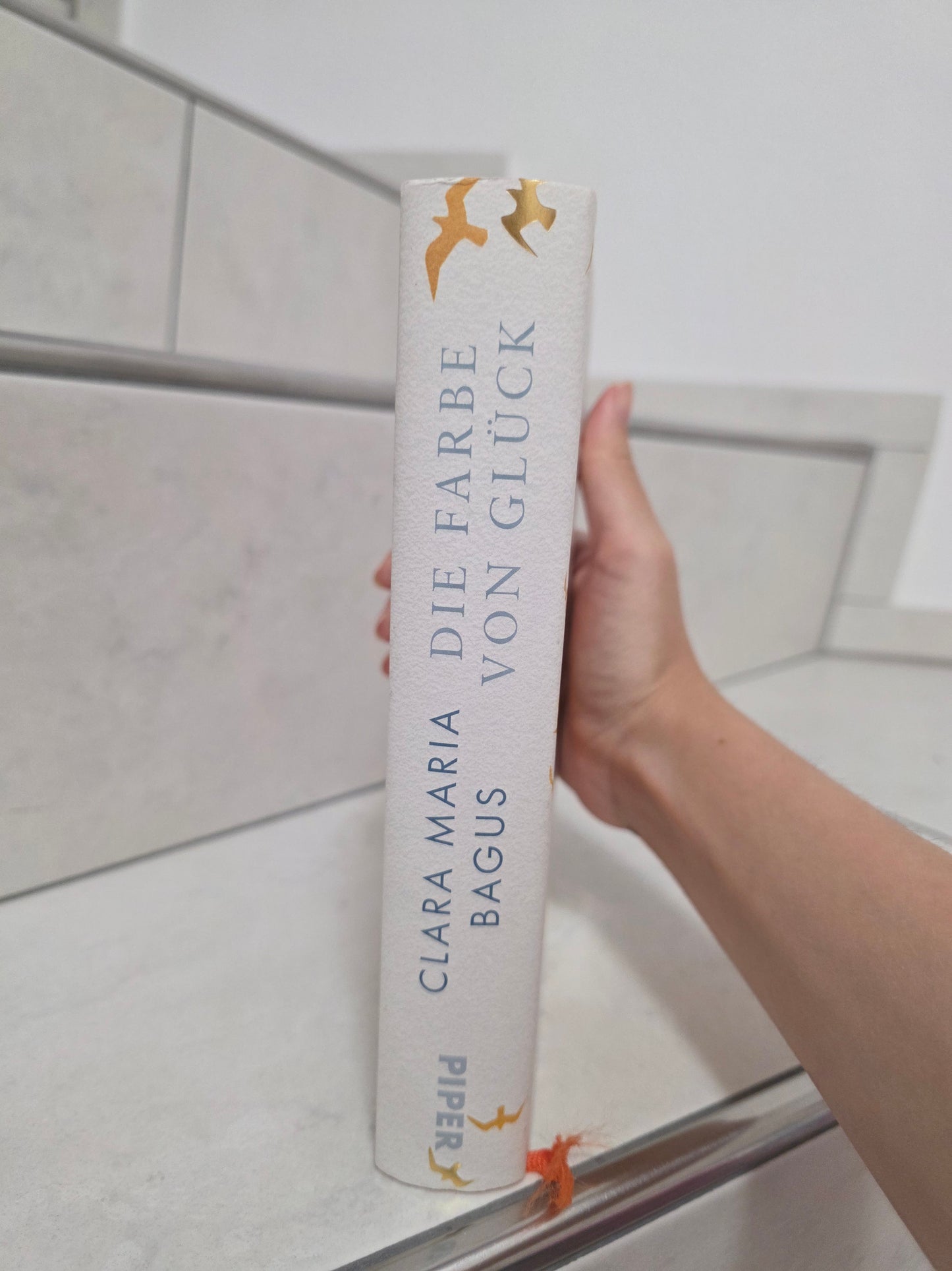 Die Farbe von Glück: Ein Roman über das Ankommen von Clara Maria Bagus