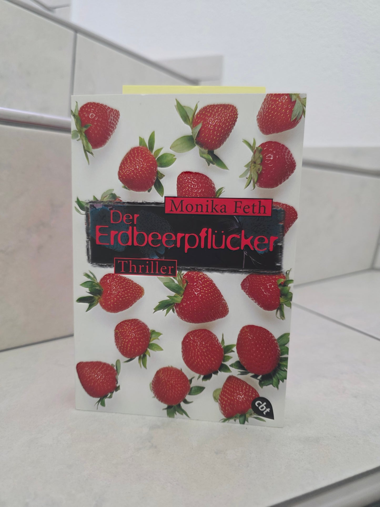 Der Erdbeerpflücker von Monika Feth