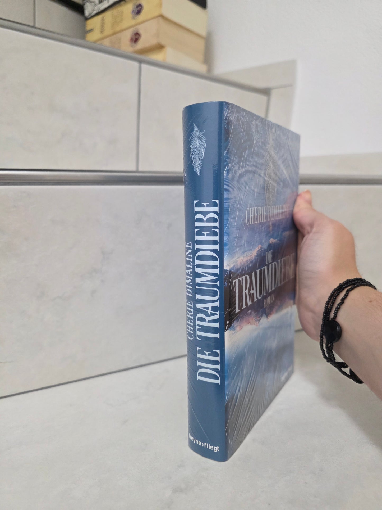 Die Traumdiebe von Cherie Dimaline