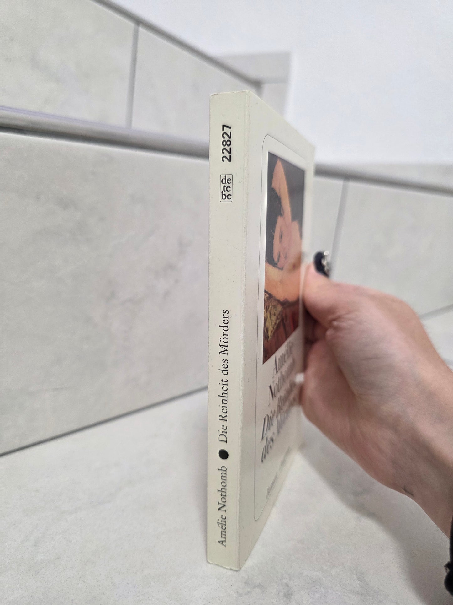 Die Reinheit des Mörders von Amélie Nothomb