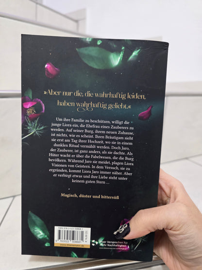 How to seduce a sorcerer von Regina Meissner