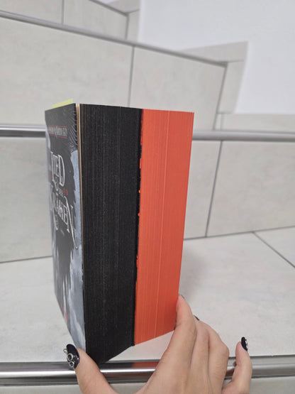 Das Lied der Krähen & Das Gold der Krähen von Leigh Bardugo