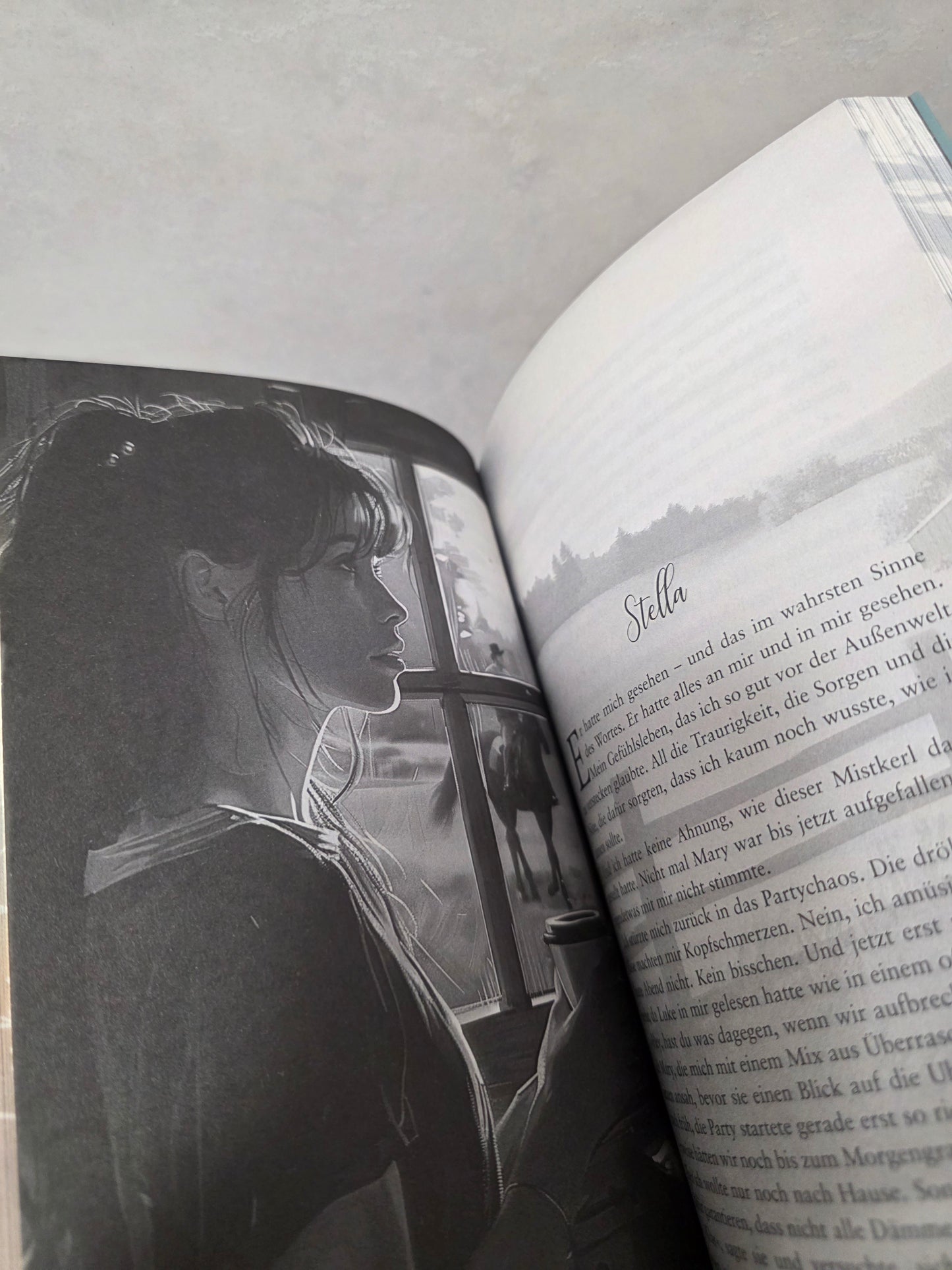 Velvet Creek von Freya Miles