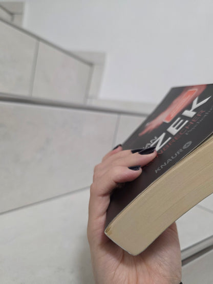 Der Seelenbrecher von Sebastian Fitzek