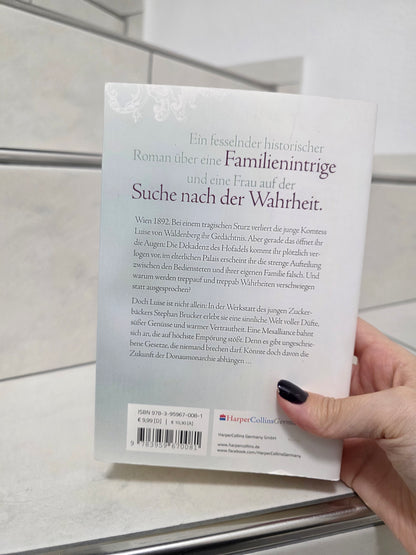 Hinter den Spiegeln: Das Wiener Vermächtnis von Ulrike Schweikert