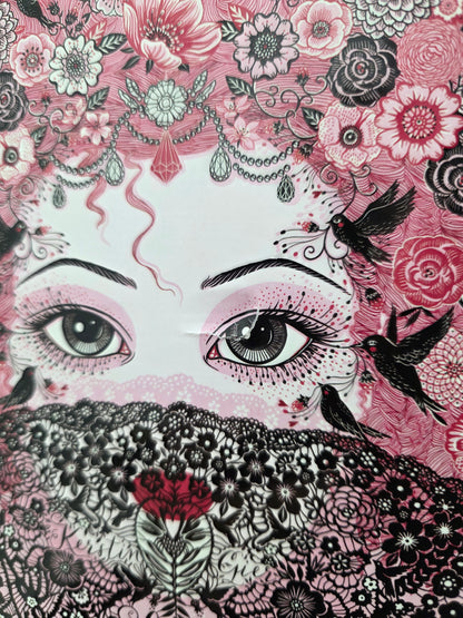 Rubinrot Trilogie von Kerstin Gier