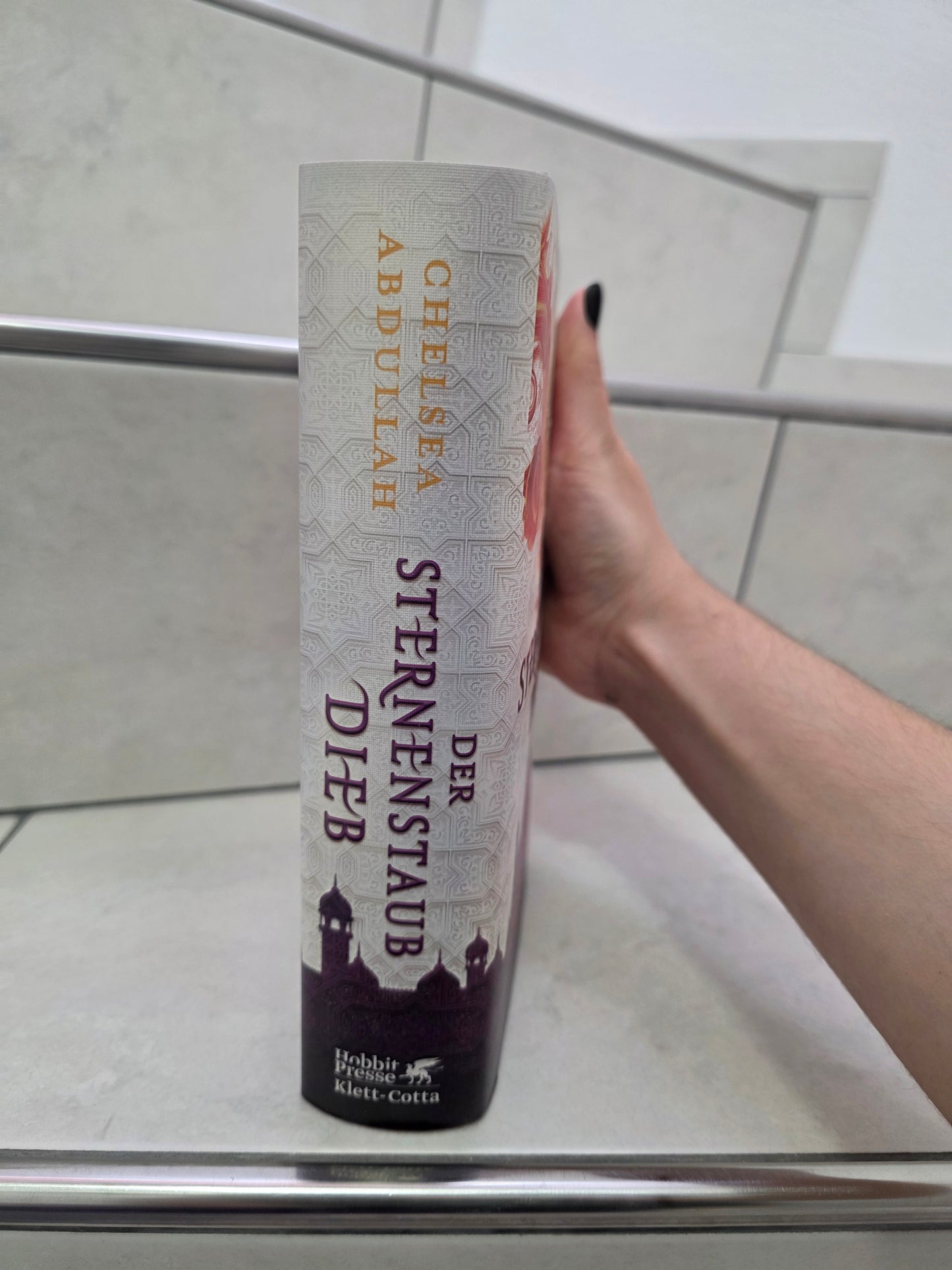 Der Sternenstaubdieb von Chelsea Abdullah