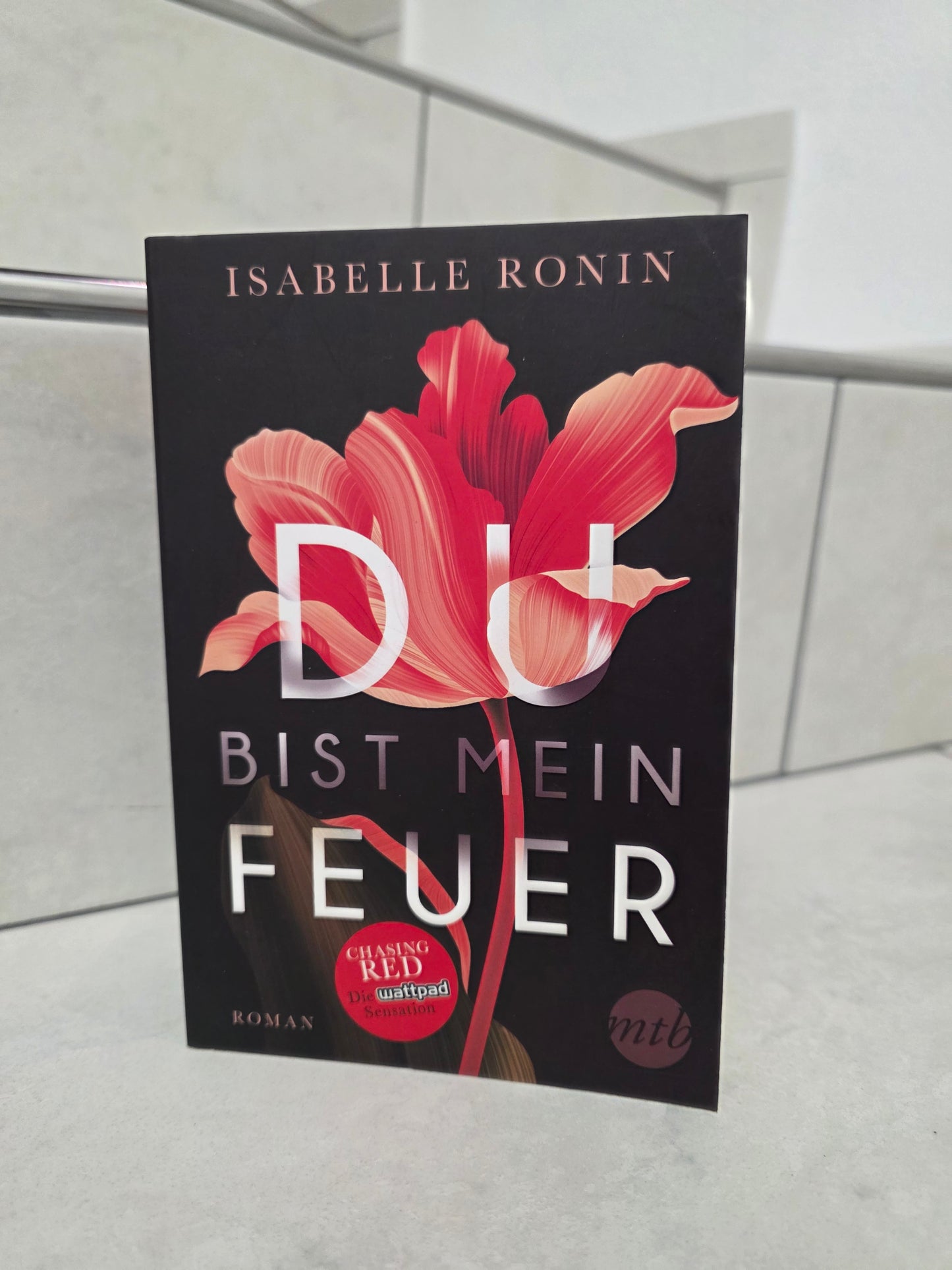 Du bist mein Feuer von Isabelle Ronin