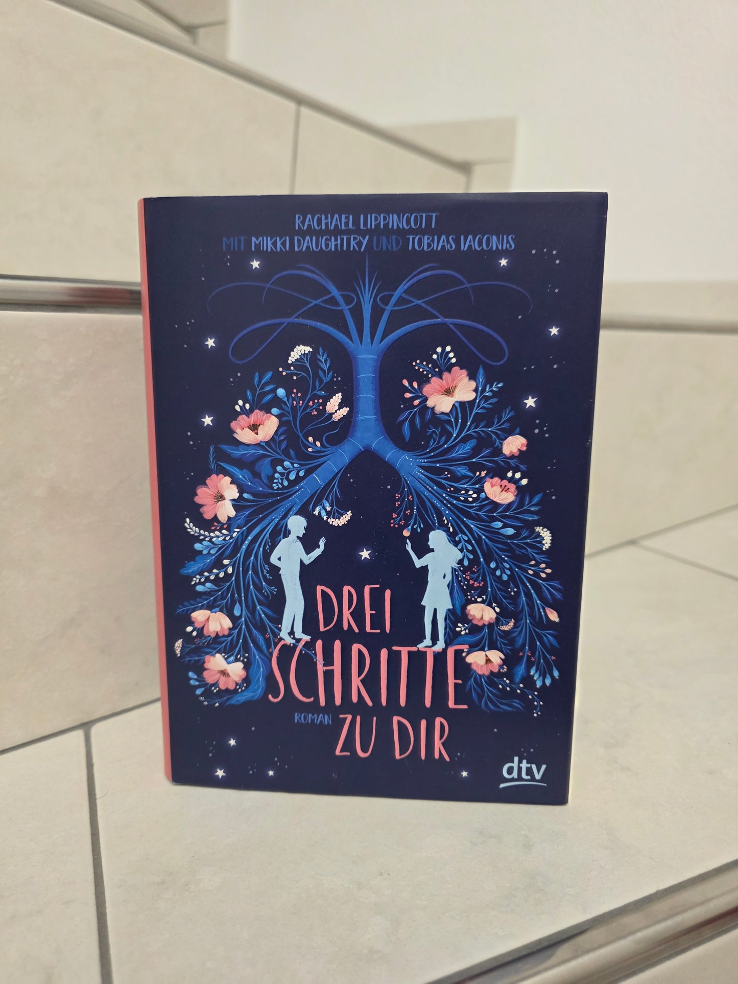 Drei Schritte zu dir von Rachael Lipincott