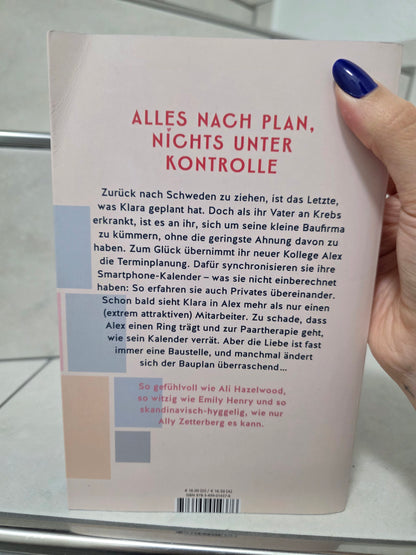 The Happiness Blueprint von Ally Zetterberg