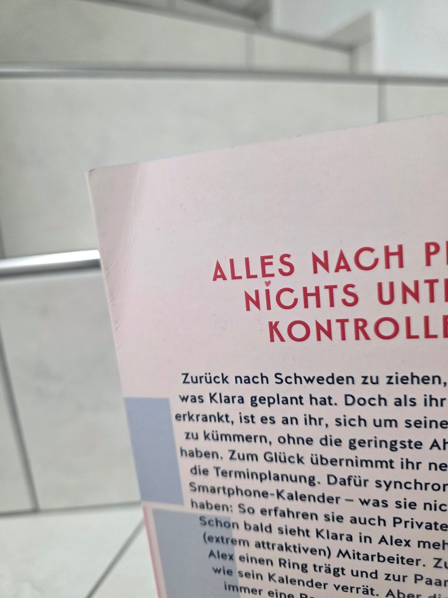 The Happiness Blueprint von Ally Zetterberg