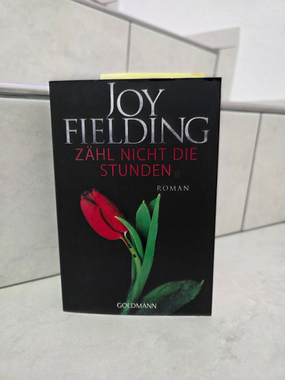 Zähl nicht die Stunden von Joy Fielding