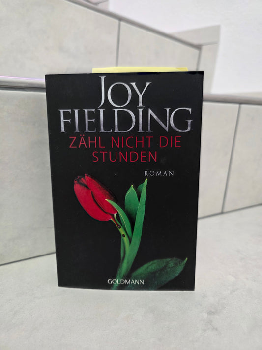 Zähl nicht die Stunden von Joy Fielding