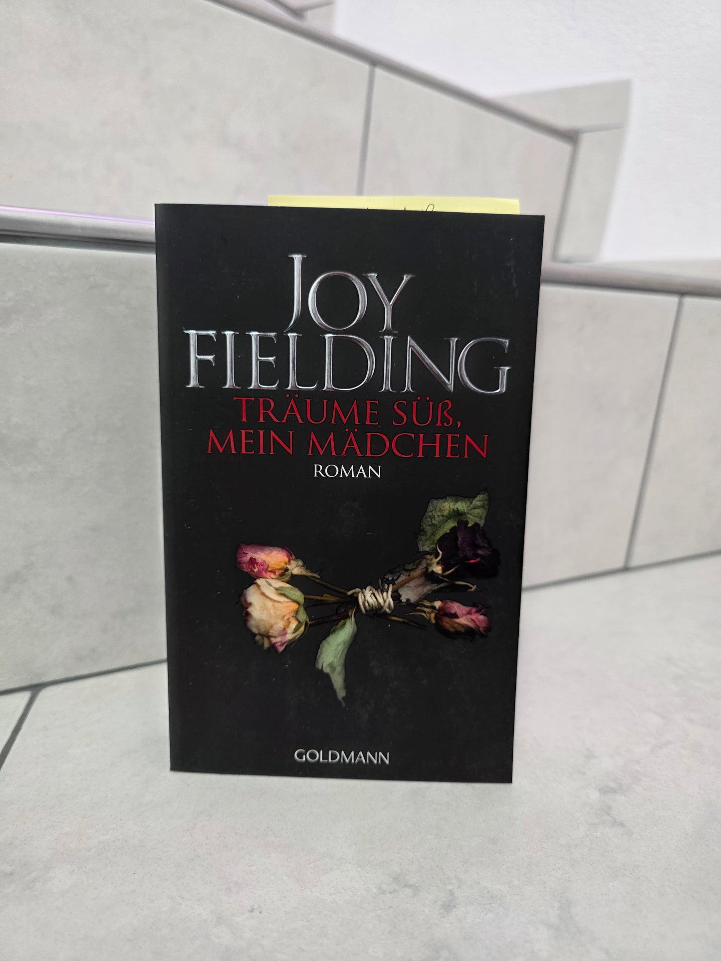 Träume süss, mein Mädchen von Joy Fielding