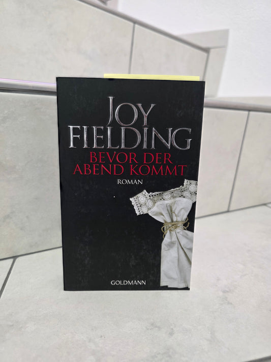 Bevor der Abend kommt von Joy Fielding
