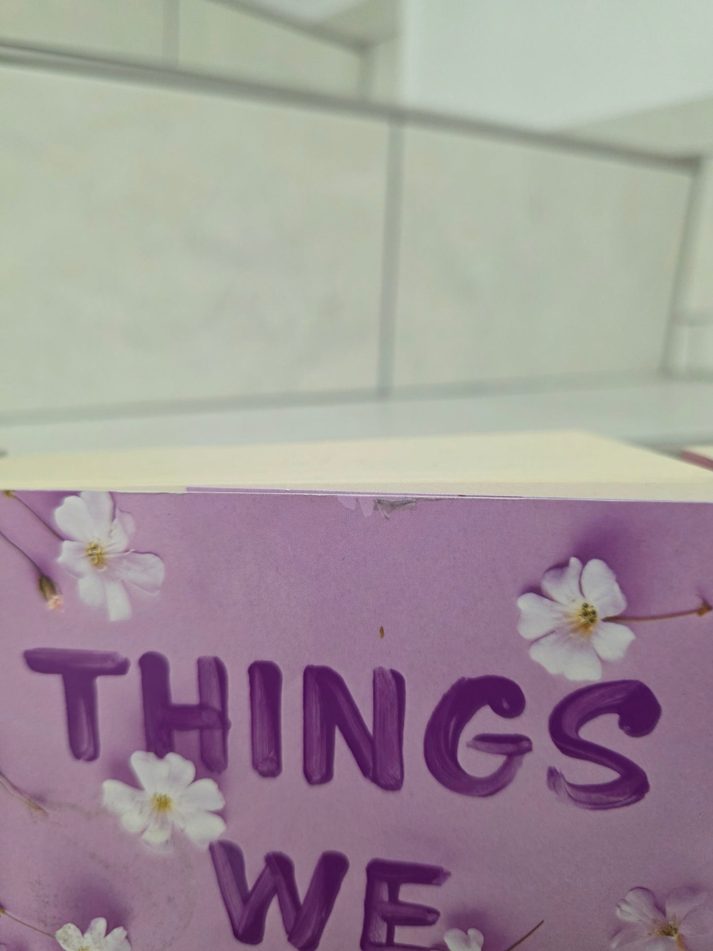 Things we never got over 1-3 von Lucy Score