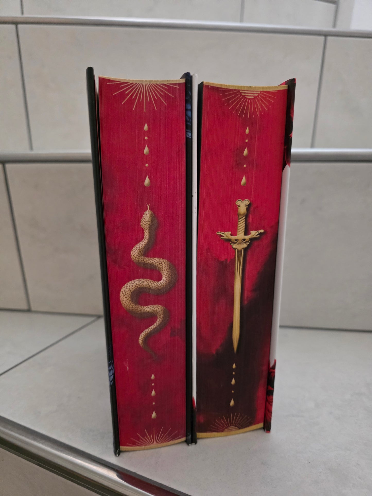 The Serpent and the Wings of Night 1&2  von Carissa Broadbent