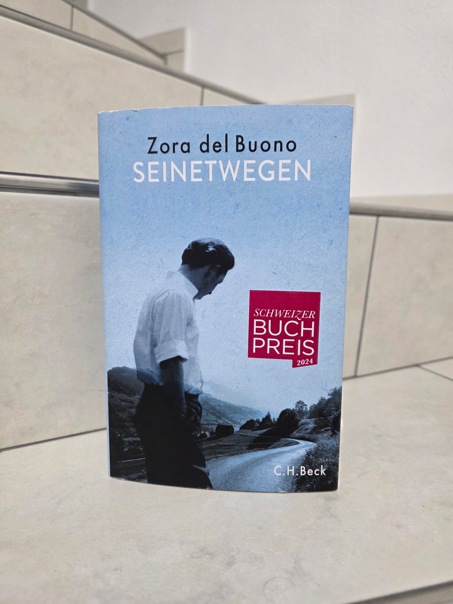 Seinetwegen von Zora del Buono