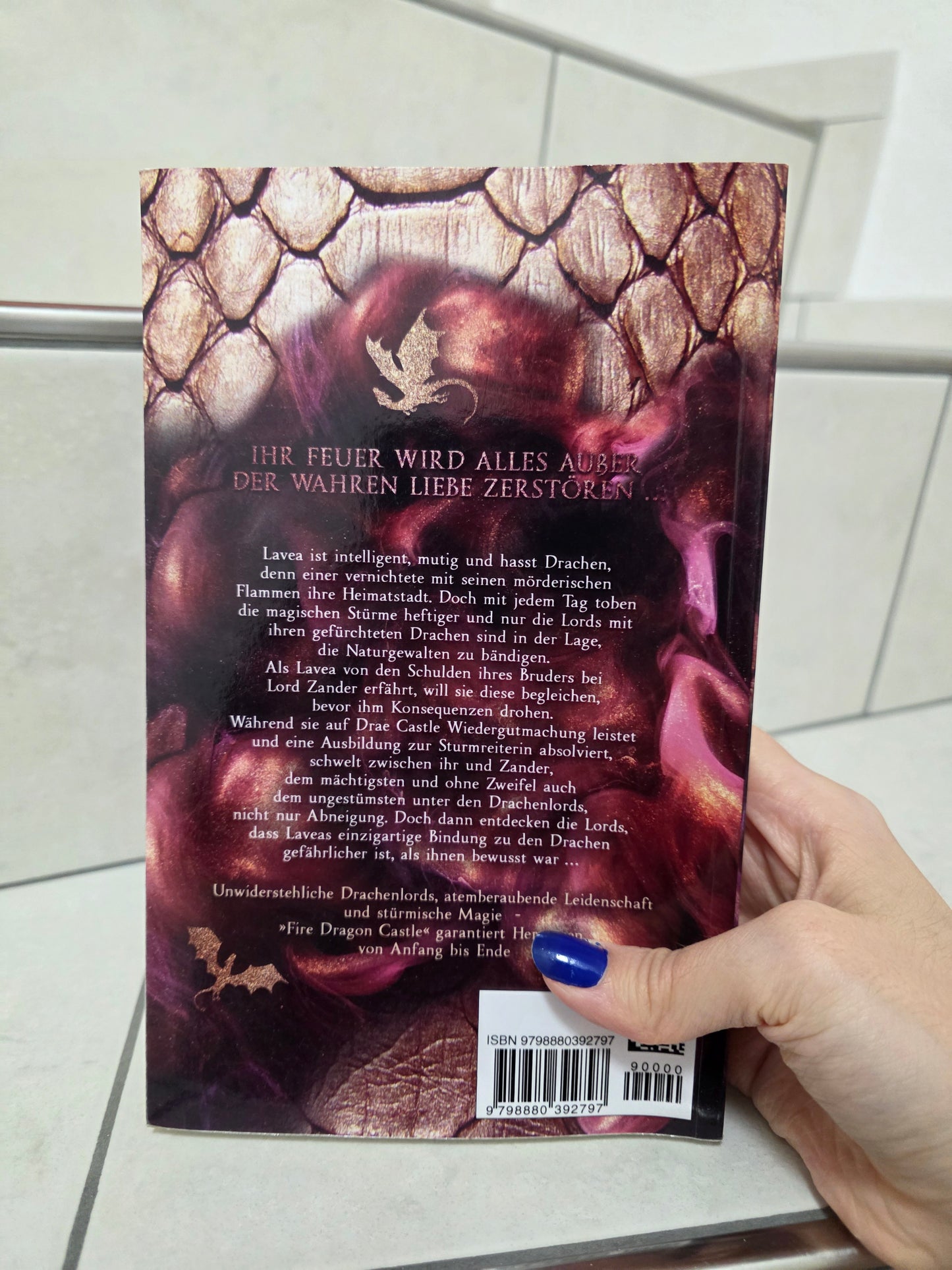 Fire dragon castle: Sturmreiterin von Everly Sheehan