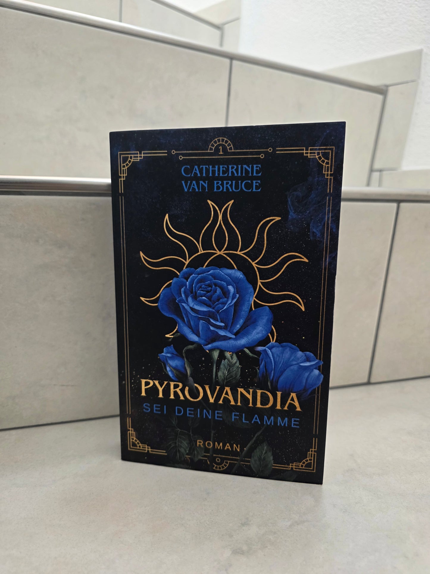Pyrovandia: Sei deine Flamme von Catherine Van Bruce
