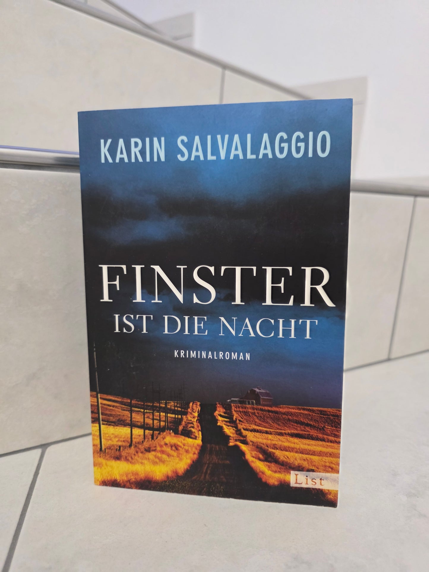 Finster ist die Nacht von Karin Salvalaggio