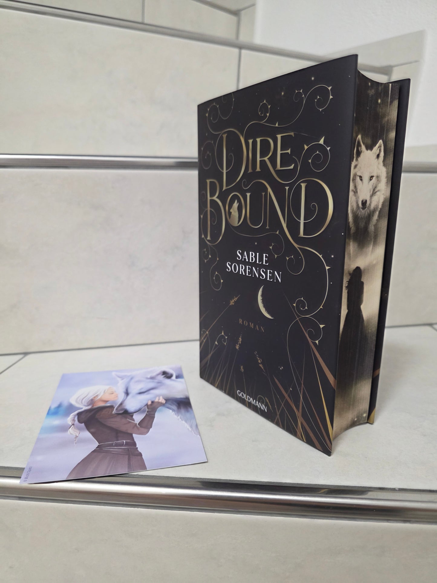 Dire Bound von Sable Sorensen