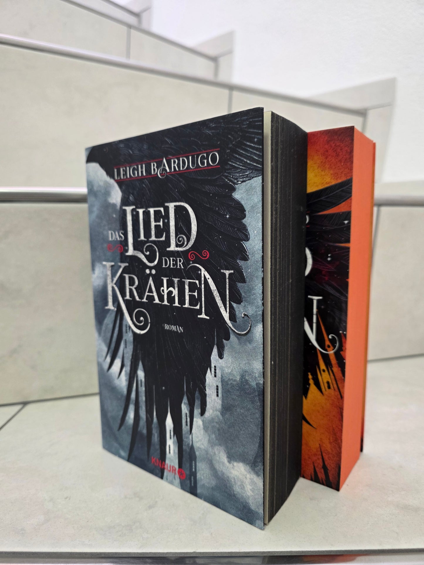 Das Lied der Krähen & Das Gold der Krähen von Leigh Bardugo
