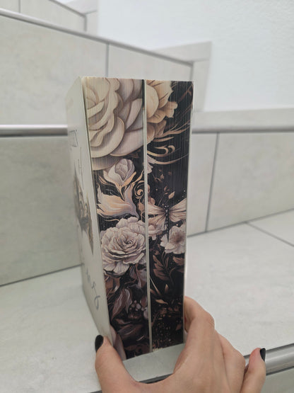 Queen of Sins 1&2 von Isabelle North