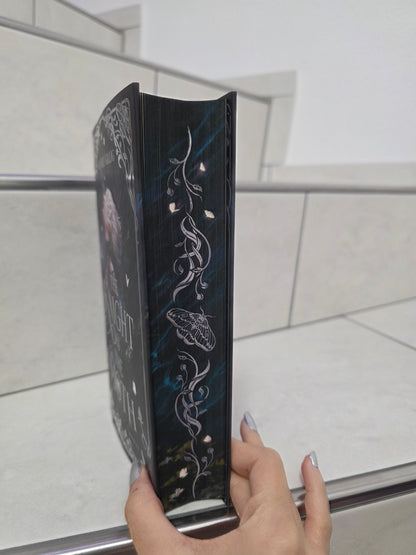 The Knight & the Moth von Rachel Gillig