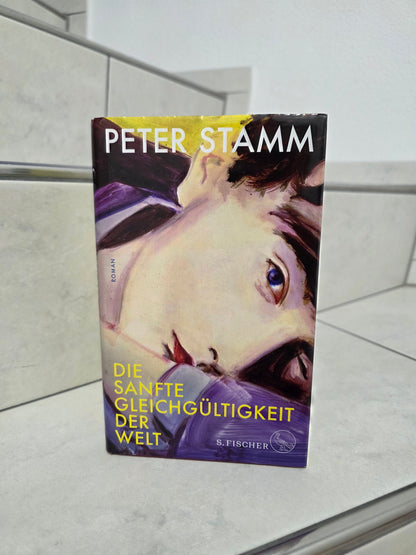 Die sanfte Gleichgültigkeit der Welt von Peter Stamm