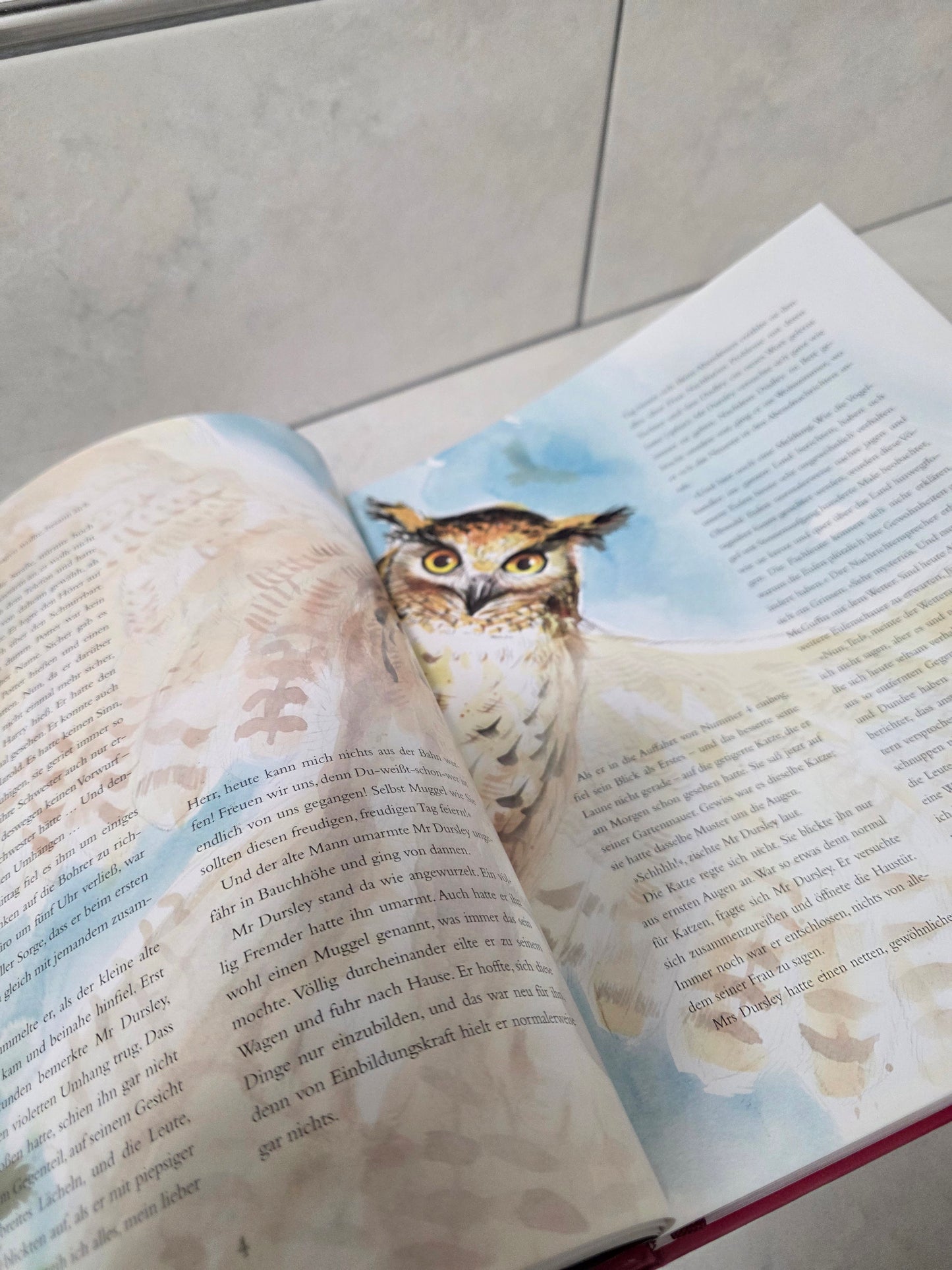 Harry Potter und der Stein der Weisen illustriert von J.K. Rowling