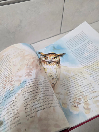 Harry Potter und der Stein der Weisen illustriert von J.K. Rowling