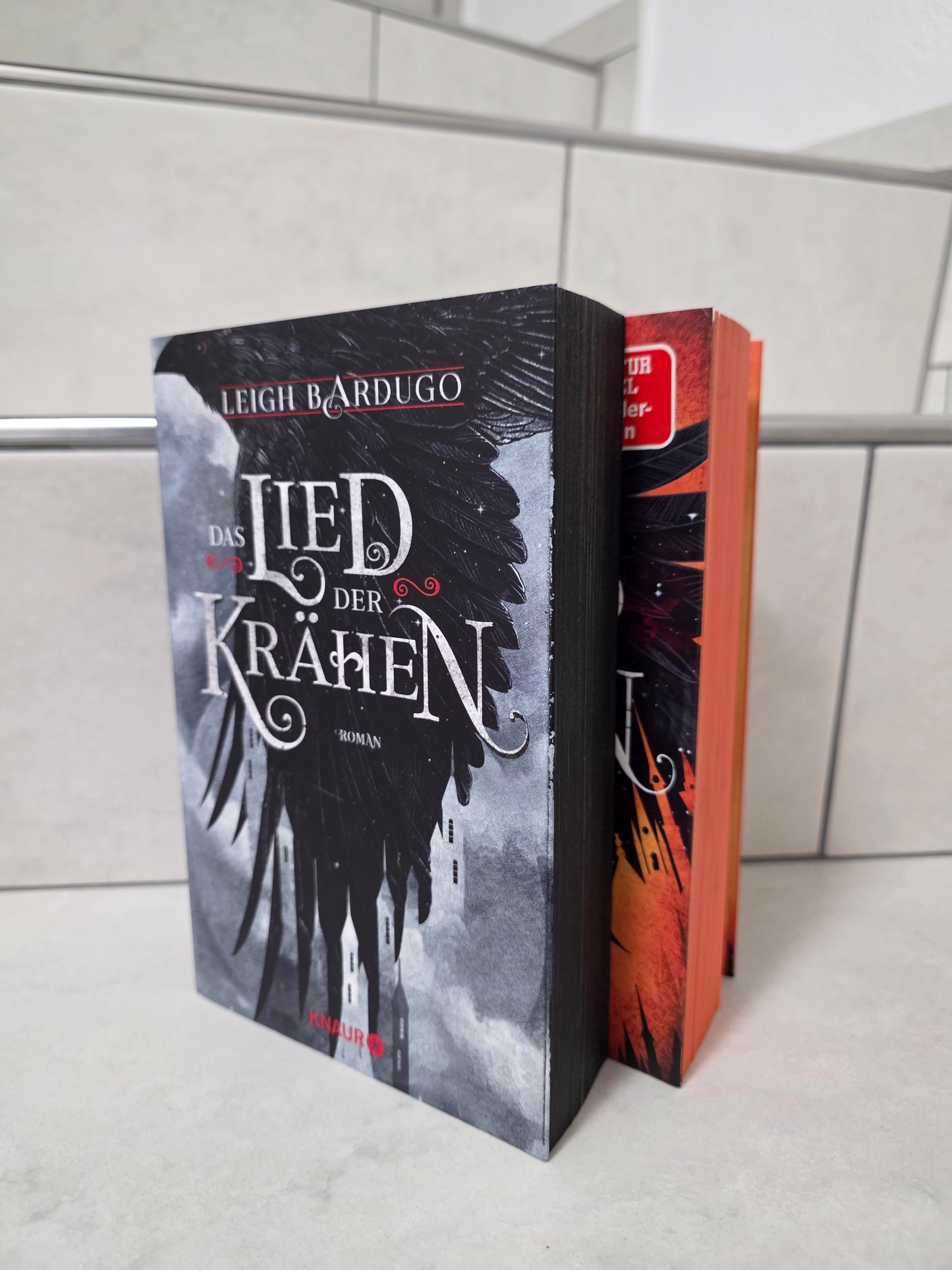 Das Lied der Krähen & Das Gold der Krähen von Leigh Bardugo