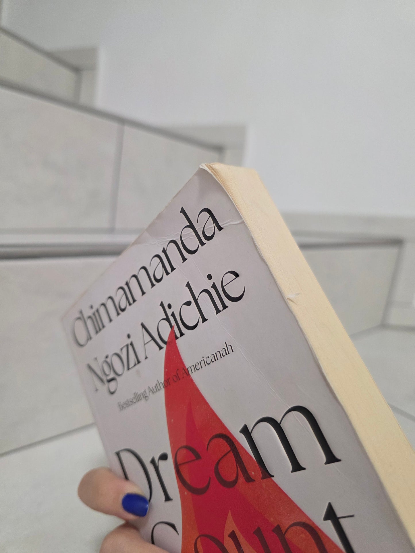 Dream Count by Chimamanda Ngozi Adichie