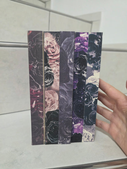 Entführt 1-5 von Jasmin Baur