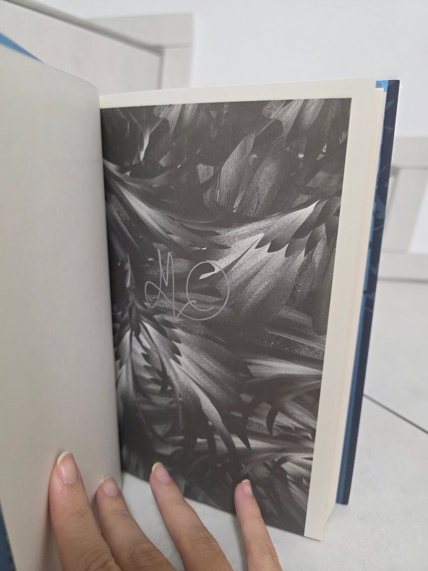 The Merciful Crow by Margaret Owen
