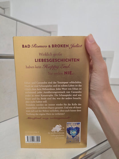 Bad Romeo and Broken Juliet Band 1&2 von Leisa Rayven