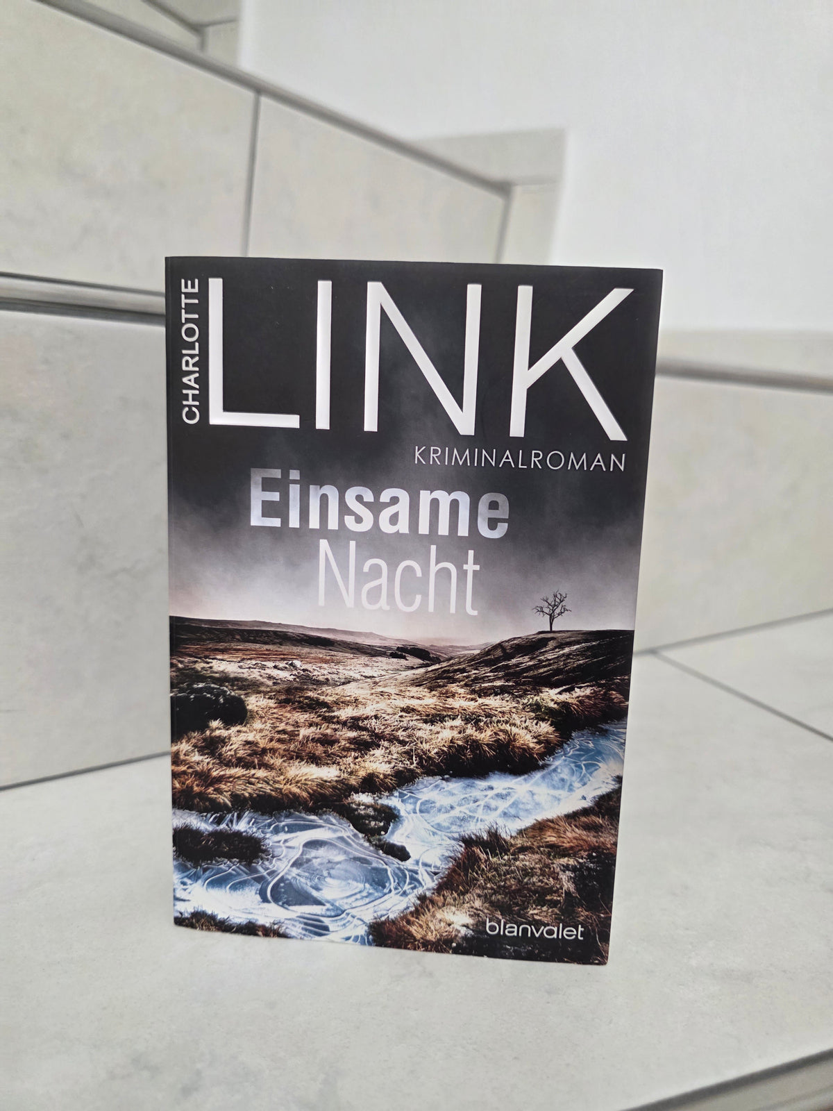 Einsame Nacht von Charlotte Link