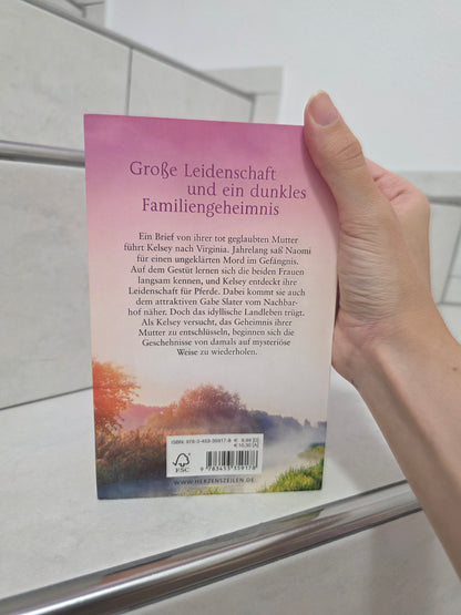 Schatten über den Weiden von Nora Roberts