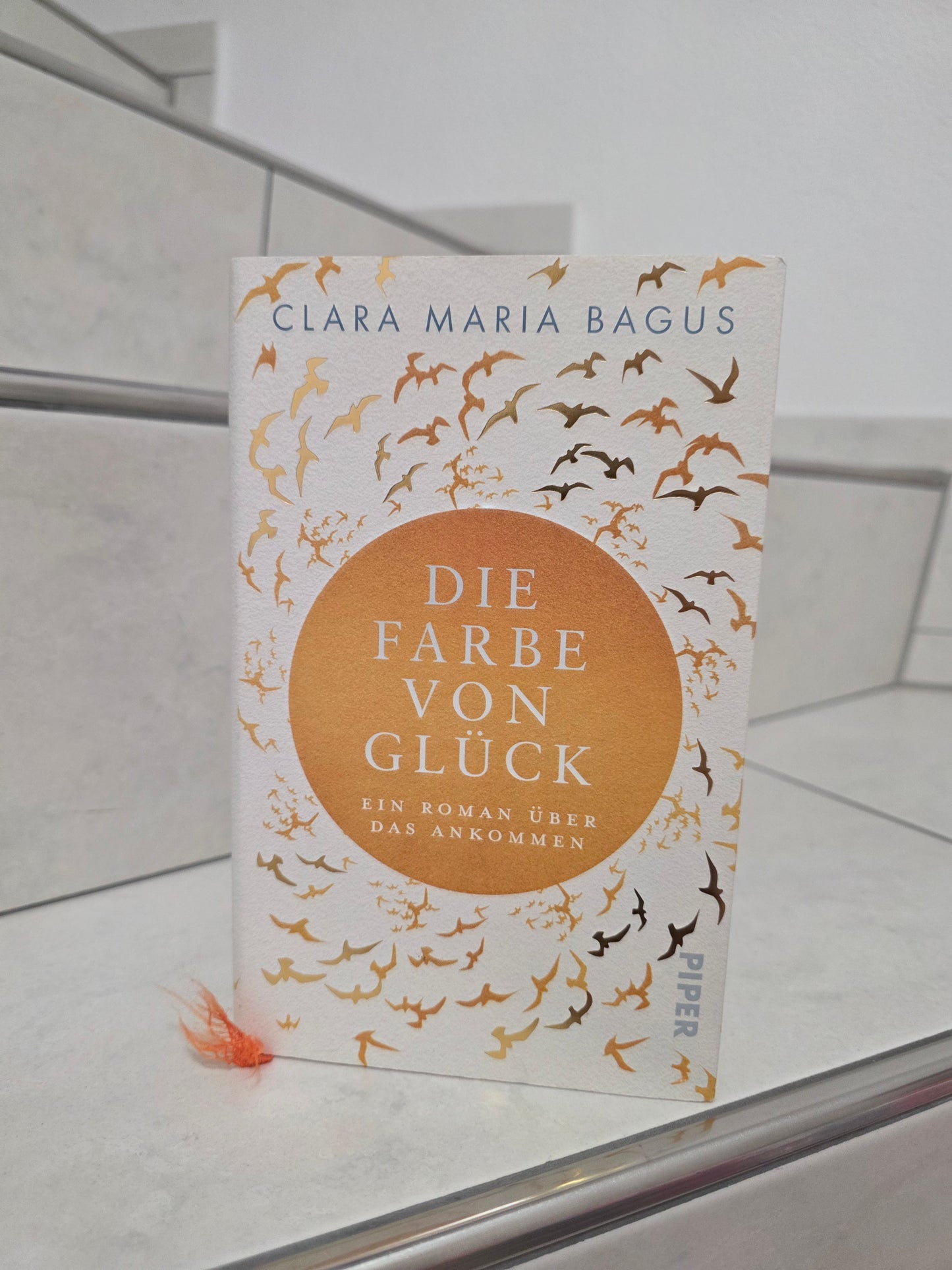Die Farbe von Glück: Ein Roman über das Ankommen von Clara Maria Bagus