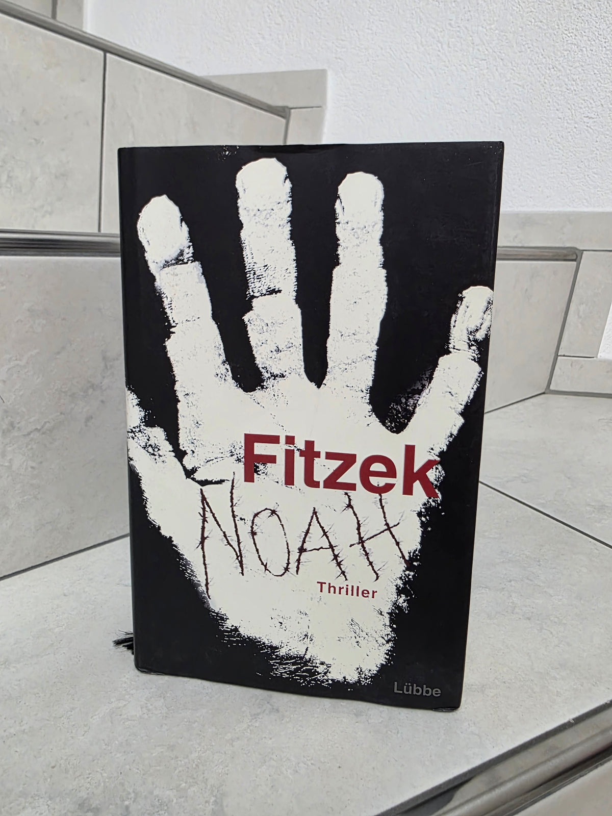 Noah von Sebastian Fitzek