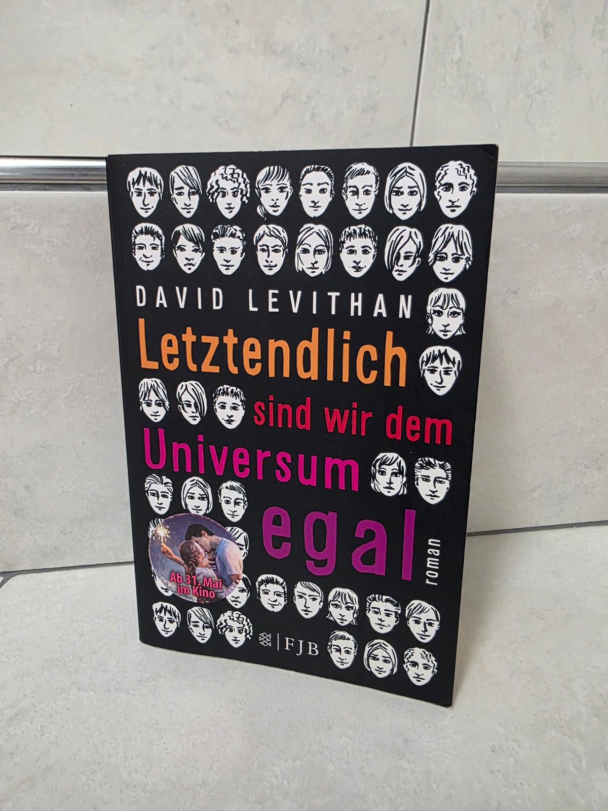 Letztendlich sind wir dem Universum egal von David Levithan