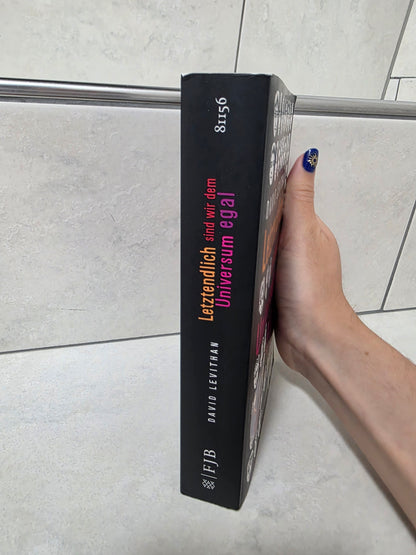 Letztendlich sind wir dem Universum egal von David Levithan