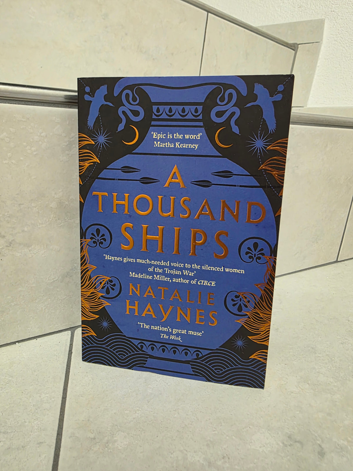A thousand ships by Natalie Haynes