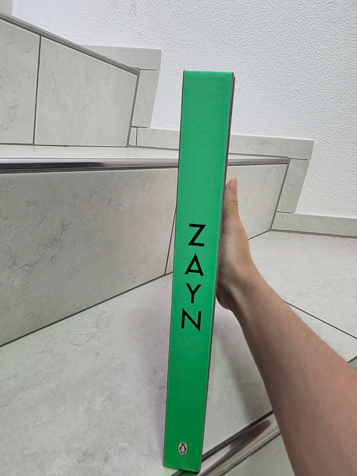 ZAYN Biography